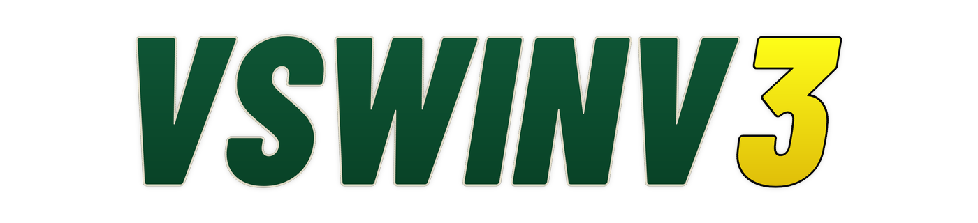 vswinv3